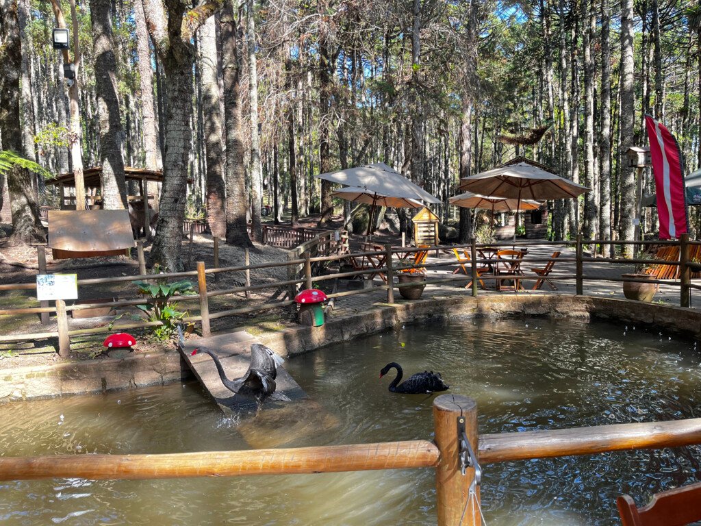 Monte Verde - Parque Oschin