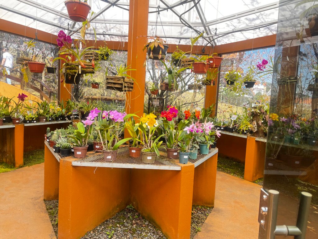Monte Verde - Orquidário