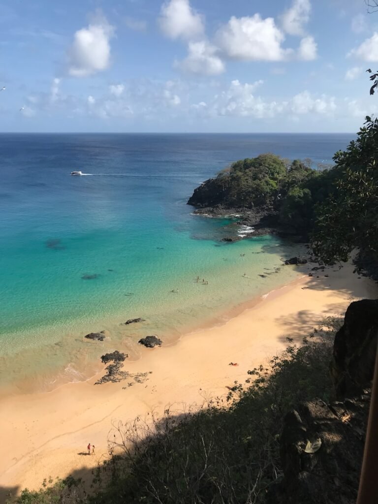 people on beach during daytime - Praias