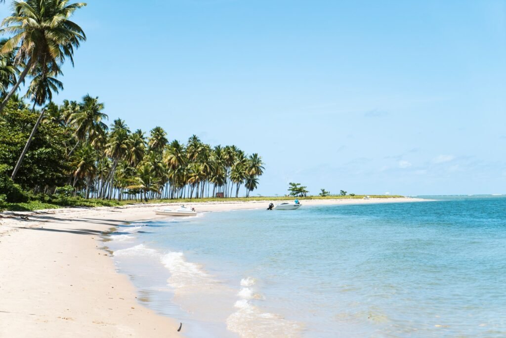 beach surrounded by trees Praias
